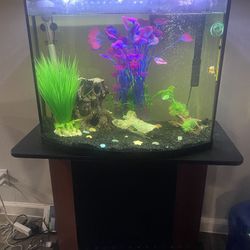 Fish Tank With Stand And Supplies 