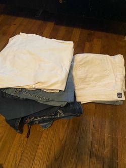Pants  shorts