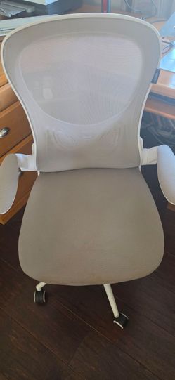 Ergonomic Office Chair - Qty 2