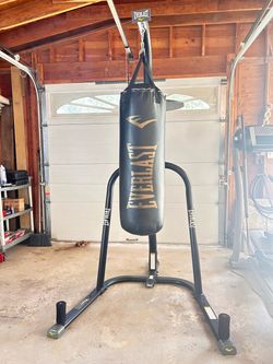 Everlast Heavy Bag with Freestanding Stand