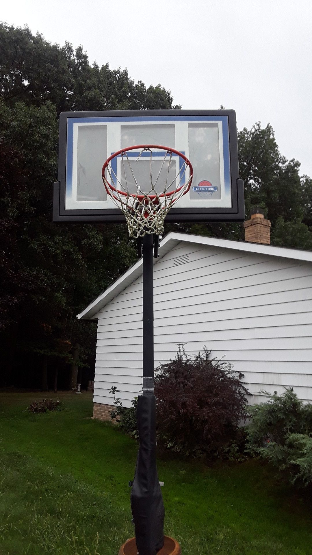 Lifetime basketball hoop