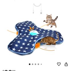 P43 Smart Cat toy