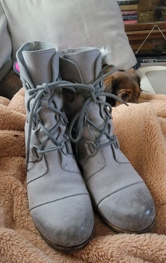 Sorel Joan of Arctic