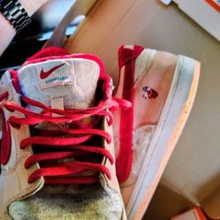 Nike sB Dunk Strangelove 