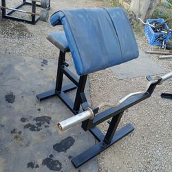 Preacher Curl Bench With Olympic Curl Bar 