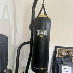Everlasting Punching Bag