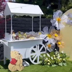 Party Needs And Props 