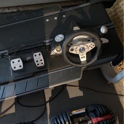 Pelican PS2 Steering Wheel