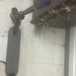 Electric Scoooter 