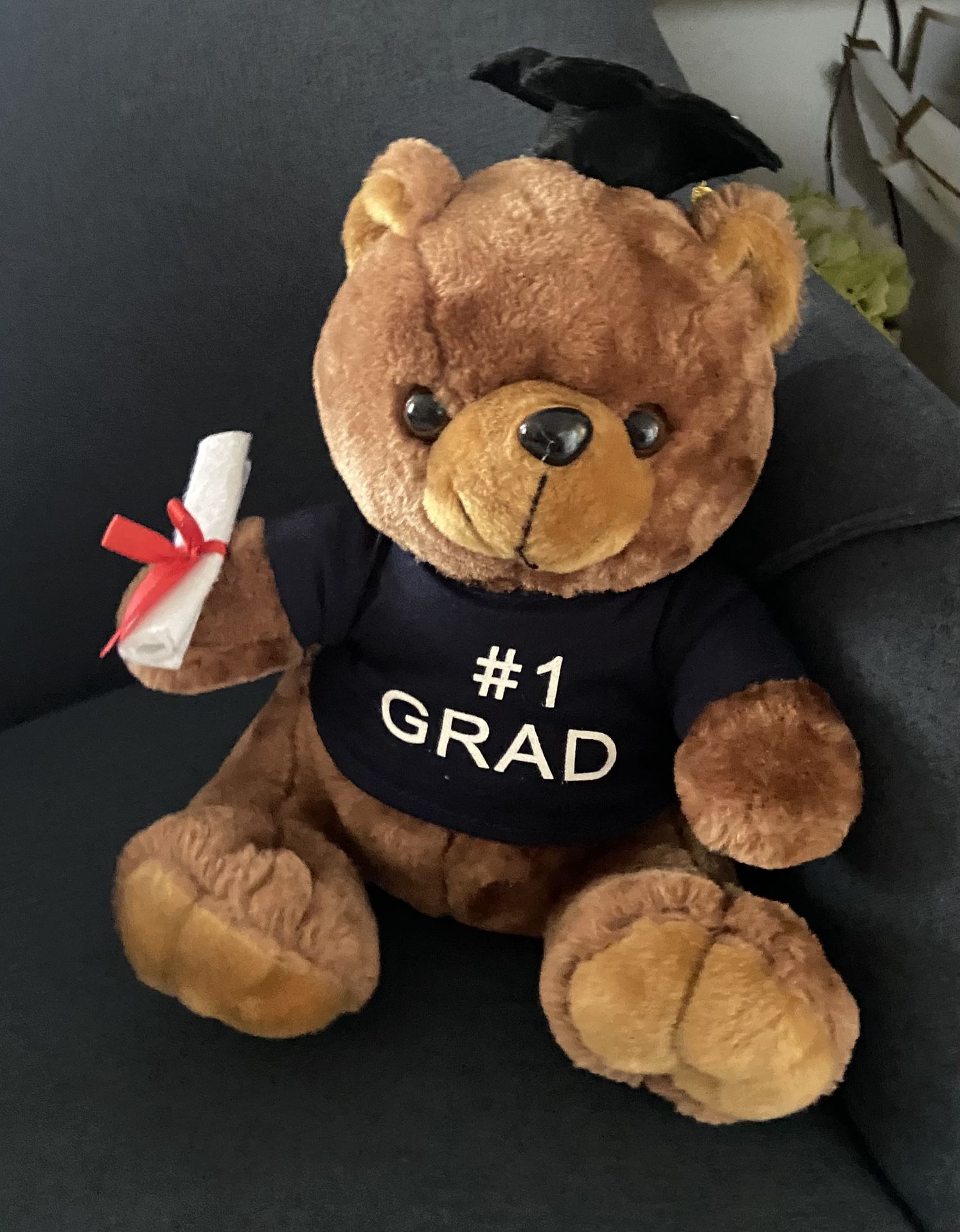 Graduation Teddy Bear