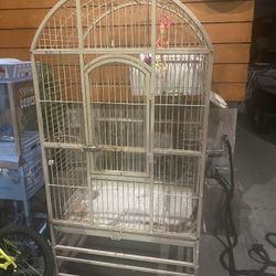 Bird Cage 