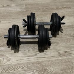 Dumbbells 2x30.8lb 