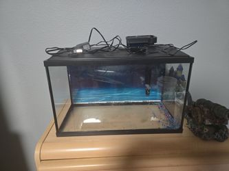 10 Gallon Aquarium