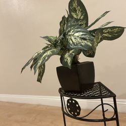 Artificial Dieffenbachia Plant 