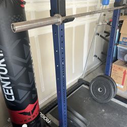 Rogue Squat Rack with Bumper Weights 