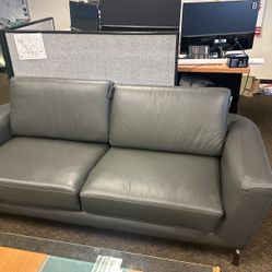 Leather Sofas Gray 