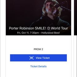 Porter Robinson 
