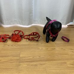 4 Harnesses And One Collar