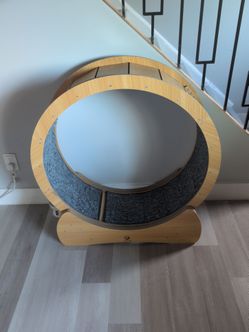 Cat exercise wheel