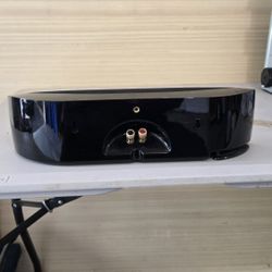 Polk Center Speaker