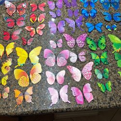 40 Accent Butterflies