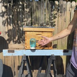 Langstroth Bee Hive Box For Sale 