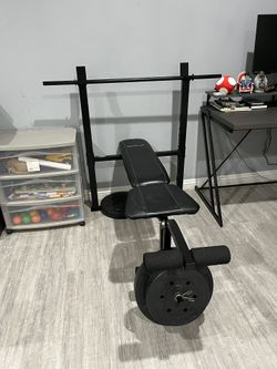 Workout Bench