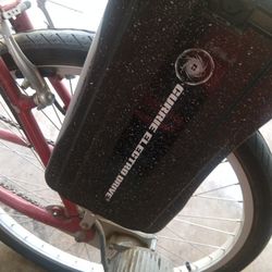 Electric Bike