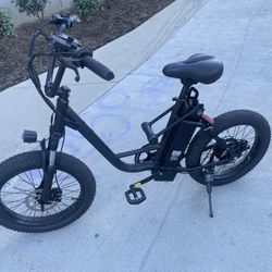 Electric Bike 