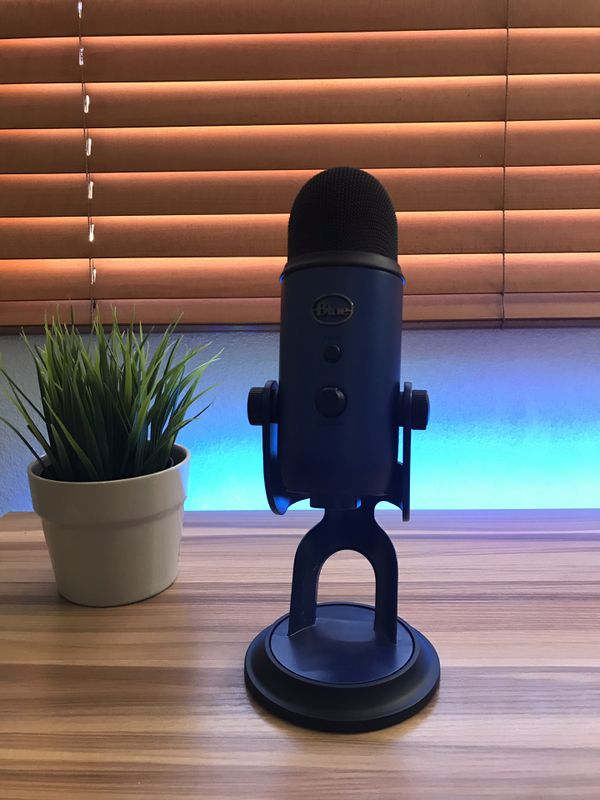 Lynwood Gold Forsythia Buy Online, Best Prices