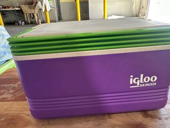 Igloo Six-Packer Cooler Purple and Green