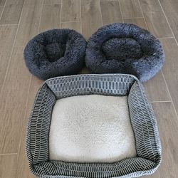 Dog beds
