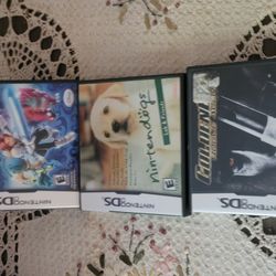 Ds Nintendo games
