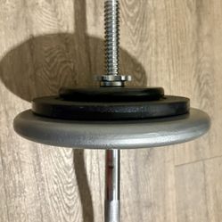 Curl Bar Standard With Pairs Of 25s 10s And 5 lbs  Total: 94 lbs