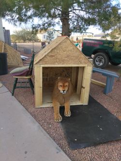 Big Size Dog House all wood