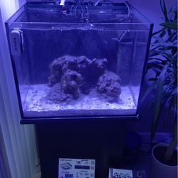 Tank Fish Aquarium 40 Gallon 