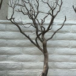 Manzanita Branches 