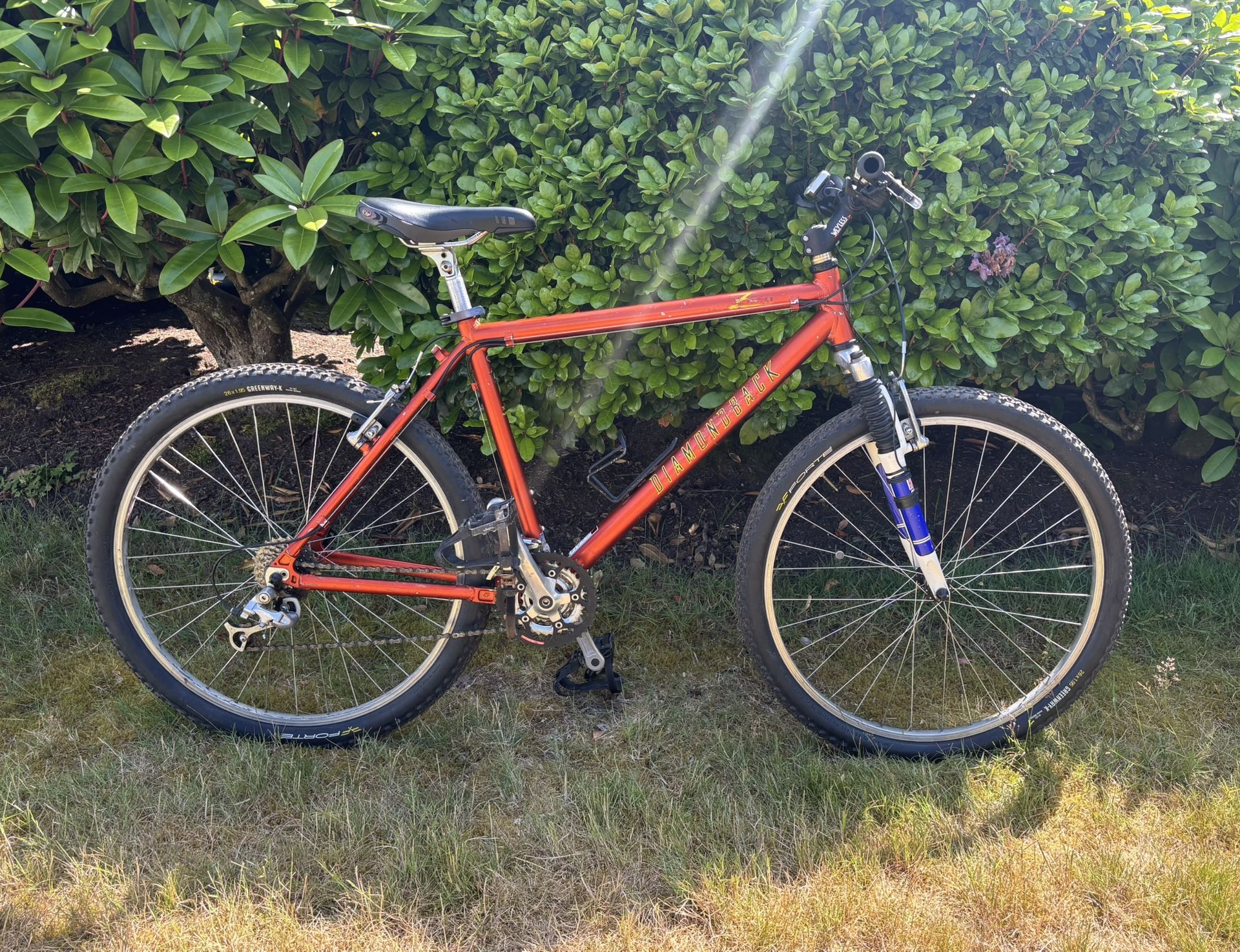 Diamondback Mountain Bike