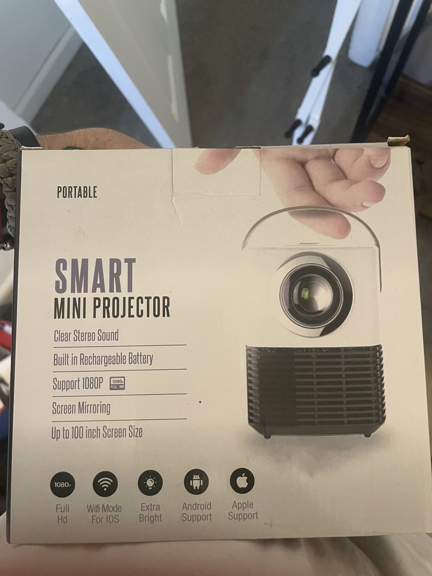 mini projector