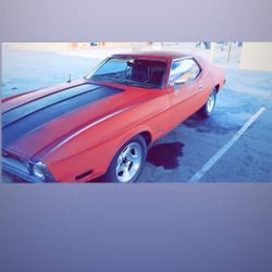 Mustang For Sale