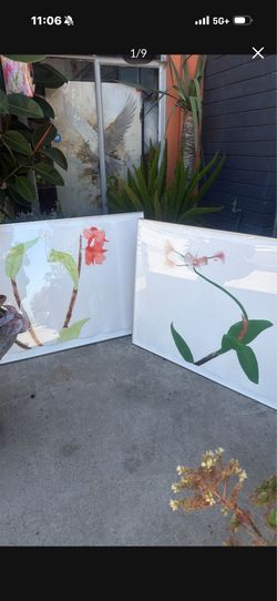 46 x 33 beautiful signed and numbered shadowbox beautiful flowers are