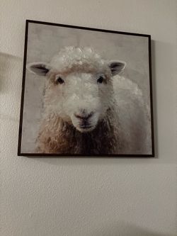 Lamb portrait