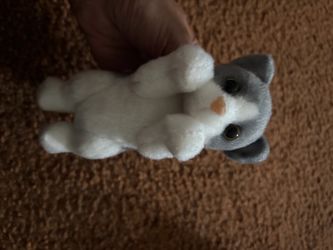 Small Gray and White Cat Plush Toy