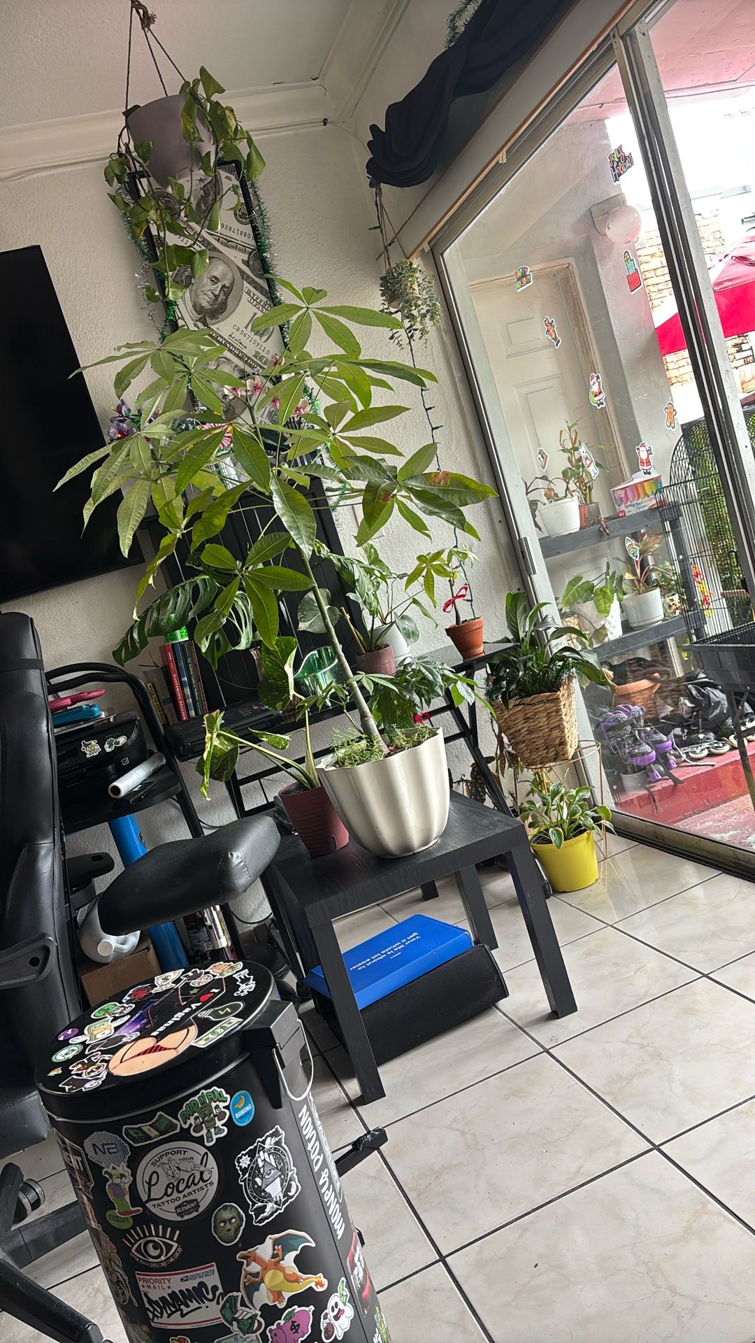 Single Trunk Money Tree Plant With Mini Plant In White Pot