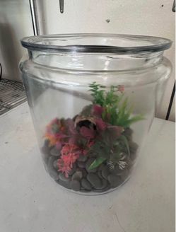 Fish Bowl