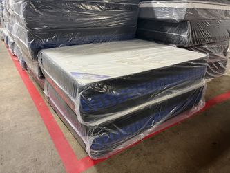 FREE DELIVER SAME DAY 