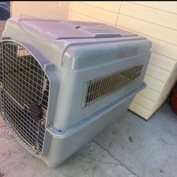 Dog Kennel