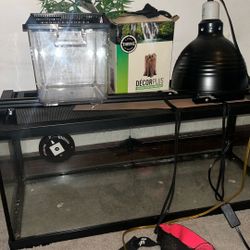 Bearded Dragon Aquarium