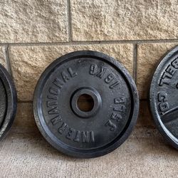 3 Olympic  35 lB  Plates & 25 lB Dumbbell 