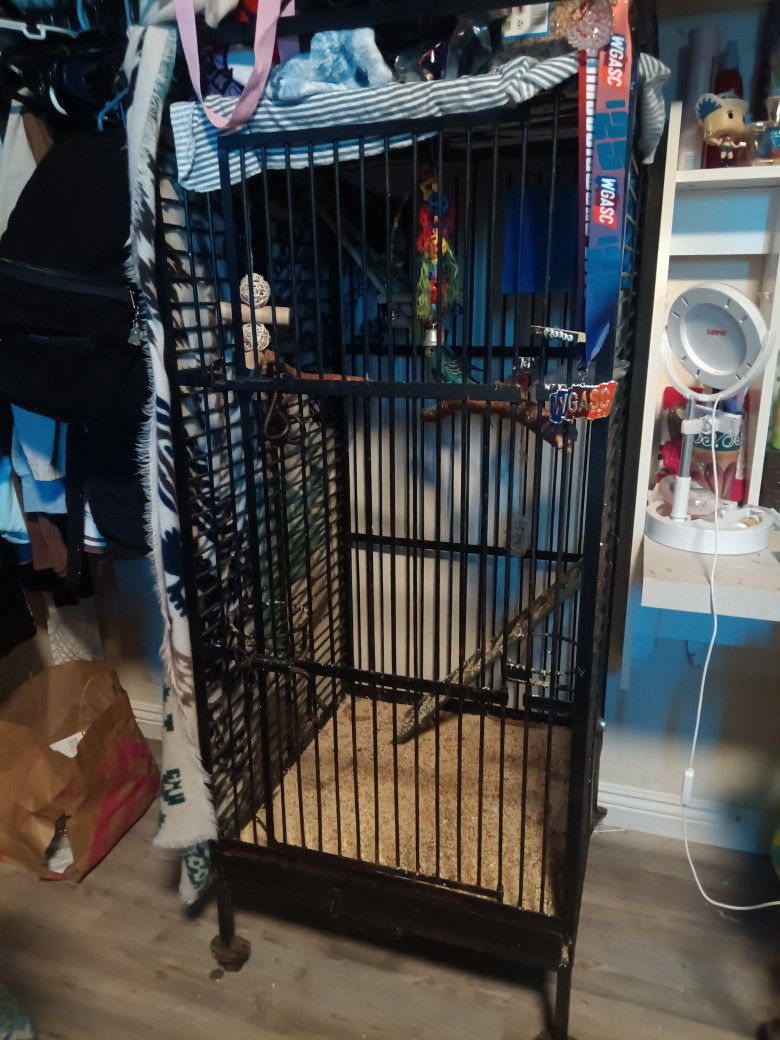 Bird Cage 